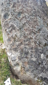 1FA959DB-04D9-447B-953BDED5303B57CD_photographs_11.jpg