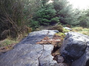 57AC9EB6-0CB9-4F0D-B9176BE9A8371956_photographs_2.JPG