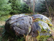 57AC9EB6-0CB9-4F0D-B9176BE9A8371956_photographs_1.JPG