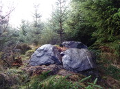 57AC9EB6-0CB9-4F0D-B9176BE9A8371956_photographs_3.JPG