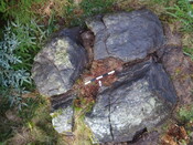 57AC9EB6-0CB9-4F0D-B9176BE9A8371956_photographs_5.JPG