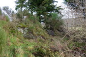 57BC6519-9C79-46EE-99AA0CD61A97EA07_photographs_5.JPG