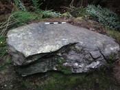 600E10DD-CA64-4F64-9E72F32FCD666C54_photographs_4.jpg