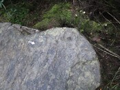 600E10DD-CA64-4F64-9E72F32FCD666C54_photographs_7.jpg