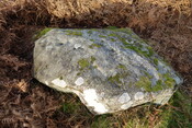 67C04CA6-9AB1-43B3-948433013BA31E4D_photographs_2.JPG