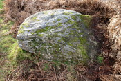 67C04CA6-9AB1-43B3-948433013BA31E4D_photographs_3.JPG