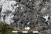 79907022-98A5-448C-A76C00DDFA053437_photographs_1.JPG
