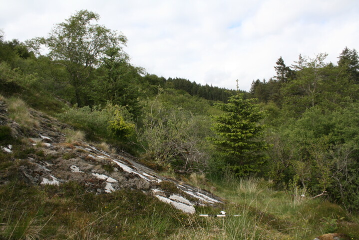 79907022-98A5-448C-A76C00DDFA053437_photographs_5.JPG