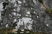 79907022-98A5-448C-A76C00DDFA053437_photographs_11.JPG