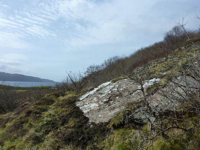 79907022-98A5-448C-A76C00DDFA053437_photographs_16.JPG