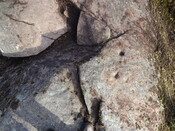 AD5336FF-FAF2-4862-8018584112829396_photographs_1.JPG