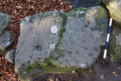B75B1154-0346-459D-A2449F469208054C_photographs_8.JPG