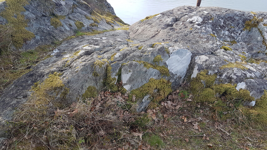 C4C0197A-C240-4960-9613D3E30B12D105_photographs_7.jpg