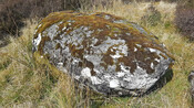CDA94980-69EA-4F8C-97A8E554D59969F1_photographs_1.jpg