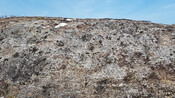 CDA94980-69EA-4F8C-97A8E554D59969F1_photographs_10.jpg
