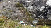 CDA94980-69EA-4F8C-97A8E554D59969F1_photographs_11.jpg