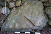 D2372D0B-2684-41FA-A54C2A263D8404FA_photographs_3.JPG