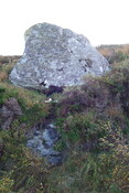 D9DF0FB5-E99F-48AB-BEC94C76BE0700E2_photographs_7.JPG