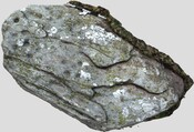 EC3F5089-1B33-48EA-861B7F98BB77C4AA_photographs_14.jpg