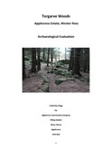 SHG29602_Torgarve_Survey_2020.pdf