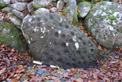 2AB2DE0F-ED68-4DE2-9C12F19244A39581_photographs_4.JPG