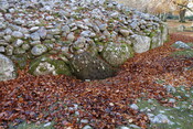 2AB2DE0F-ED68-4DE2-9C12F19244A39581_photographs_7.JPG
