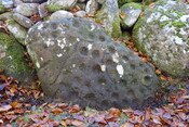 2AB2DE0F-ED68-4DE2-9C12F19244A39581_photographs_9.JPG