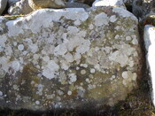 C02B04F2-3CA0-4E6F-BEF67930D88DDBA6_photographs_3.JPG