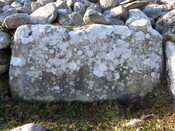C02B04F2-3CA0-4E6F-BEF67930D88DDBA6_photographs_5.JPG