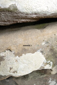 81B88AB0-3B04-465F-B61F7A2D9641FB65_photographs_4.JPG