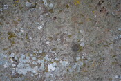 179DEFA3-6055-483F-BF5E0FF0A0D875BE_photographs_2.JPG