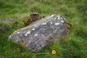 B5E895EE-B712-4BE4-91236FFCF2539FCB_photographs_5.JPG
