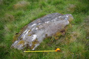 B5E895EE-B712-4BE4-91236FFCF2539FCB_photographs_6.JPG