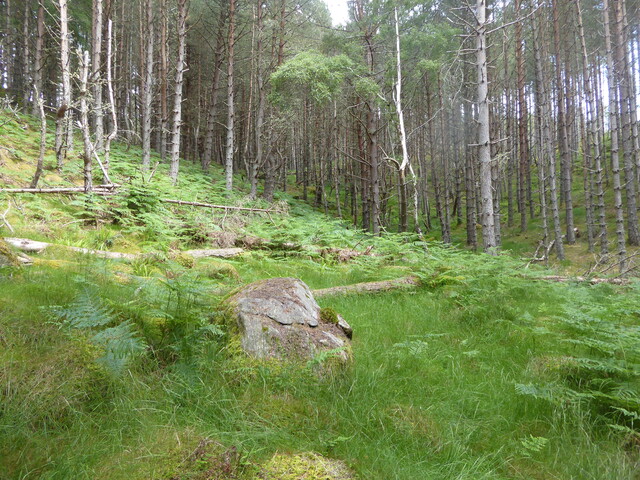 49E265C0-AB20-4A07-BA9DE37F4F894DC6_photographs_3.JPG