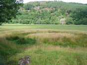 NH45NW0001 - Achilty henge 1.JPG