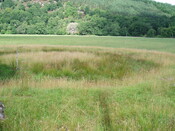 NH45NW0001 - Achilty henge 2.JPG