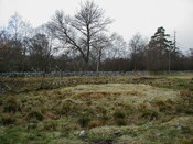 NH45NW0001-3.JPG