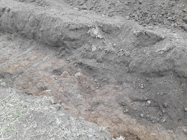 20210324_151404.jpg