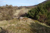 Bailemore 1 panel to the E DSC06757.JPG
