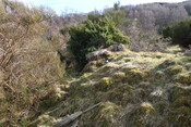 Bailemore 1 panel to the S DSC06756.JPG