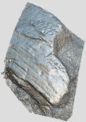 Bailemore 1 SF2.jpg