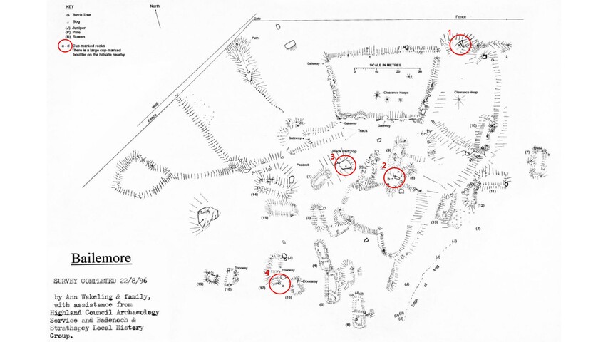 Bailemore Plan Ann Wakeling 1996 numbered.pdf