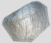 BoR1 SF02.jpg