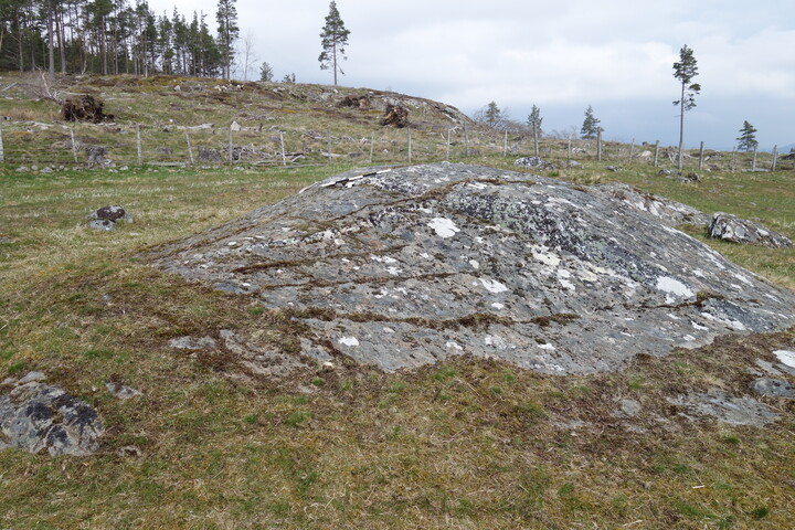 DSC07150 BoR1 panel to N.JPG