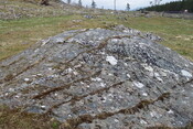DSC06969.JPG