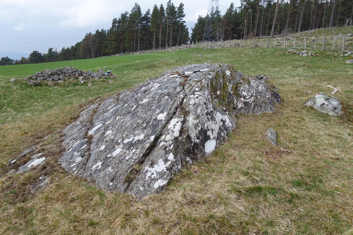 DSC07151 BoR1 panel to W.JPG