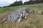 DSC07151 BoR1 panel to W.JPG