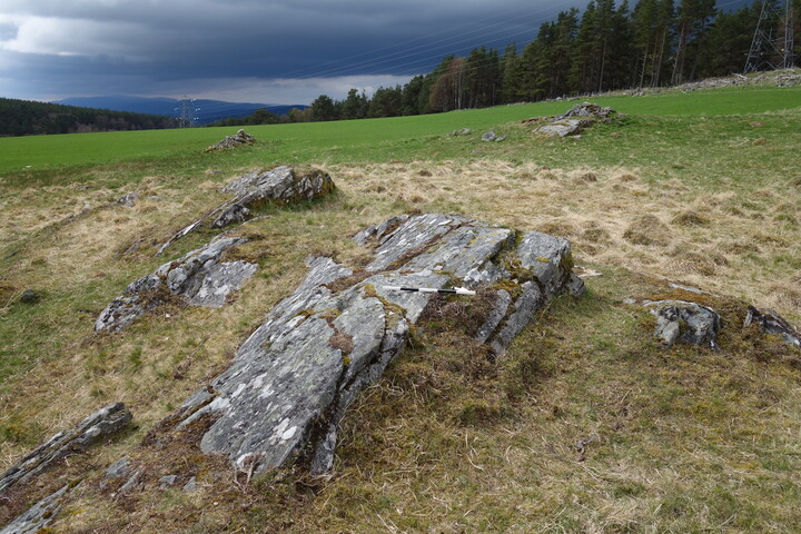 DSC07362 BoR2 panel to W.JPG