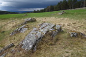 DSC07362 BoR2 panel to W.JPG
