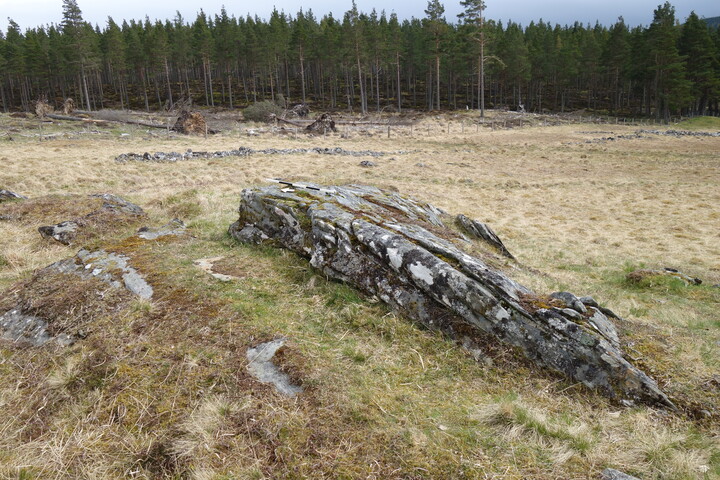 DSC07363 BoR2 panle to E.JPG